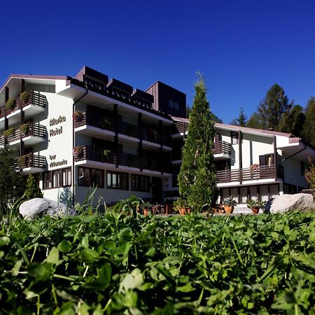 Hotel Alaska フォルガリダ エクステリア 写真